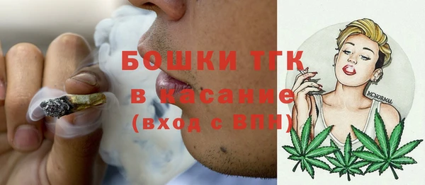 PSILOCYBIN Аркадак