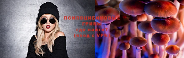 apvp Армянск