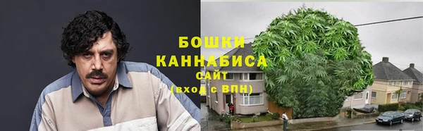 PSILOCYBIN Аркадак