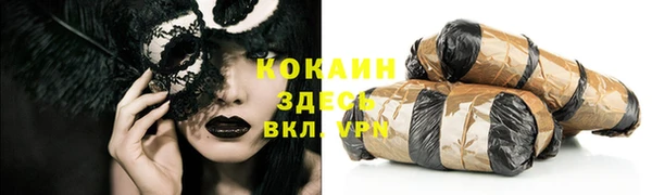 PSILOCYBIN Аркадак