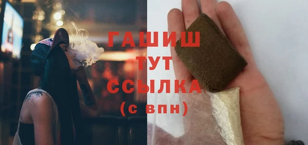 PSILOCYBIN Аркадак