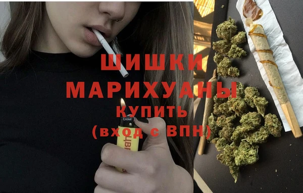 PSILOCYBIN Аркадак