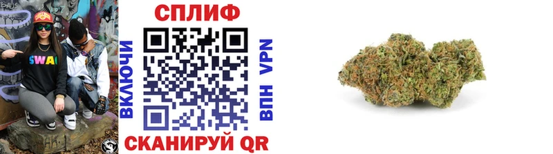 где найти Мурино Марихуана Ganja
